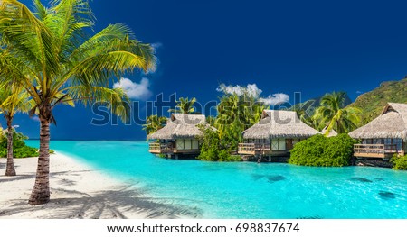 Perfect holiday location on a tropical island with palm trees and amazing vibrant beach Zdjęcia stock © 