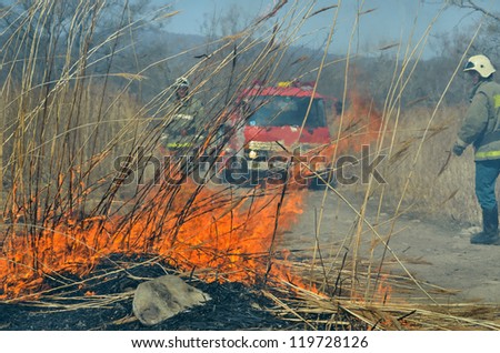 A fire-engine and firemen on forest fire.