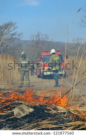 A fire-engine and firemen on forest fire.