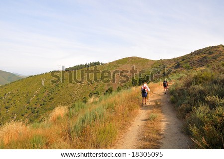 Pilgrims walking along Camino de Santiago