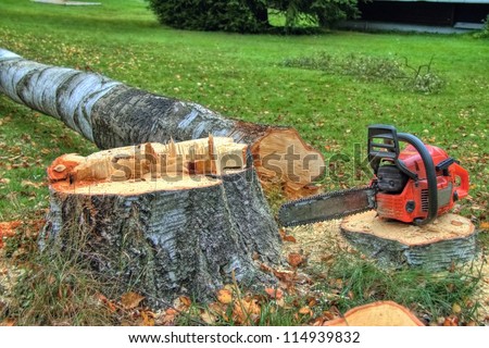 Similar – Image, Stock Photo Tree stump from felled tree in front of chimney with smoke from fossil fuel power plant