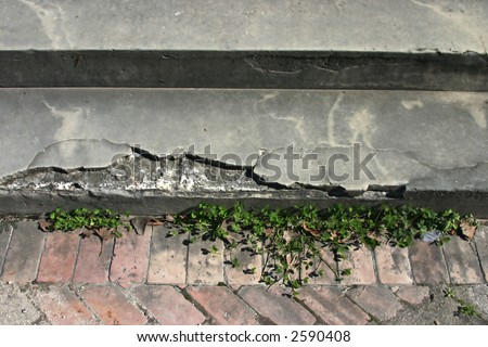 Old Concrete Step in Disrepair
