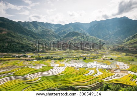 Beautiful rice terraces field in Raining season in Vietnam.
