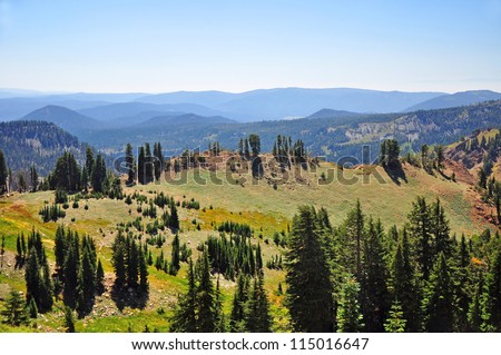 An Alpine Meadow Lassen Park. The park has several alpine meadows adding to the park\'s scenic beauty.