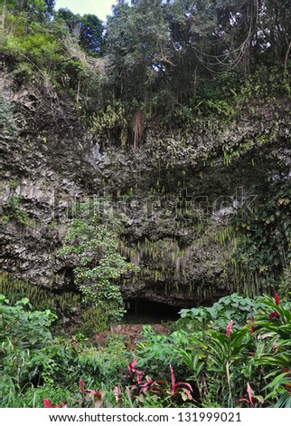 The Fern covered Grotto on the Wailua River. The ferns grow and hang upside down. The grotto has special significance to the people of Hawaii.