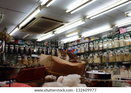 cat sleep in the chinese medicine shop