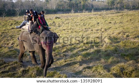 CHITWAN, NEPAL - JAN. 22: elephant tour in Chitwan on January 22,2010. The elephants are breed and trained in breeding Centre, one of the elephants conservation program