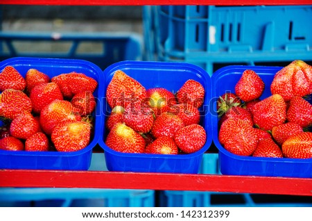 Row of blue baskets with strawberries at market