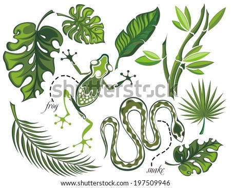 Set of tropical leaves and reptiles