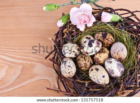 Quail's Eggs and Feathers in a Easter Nest on wooden background