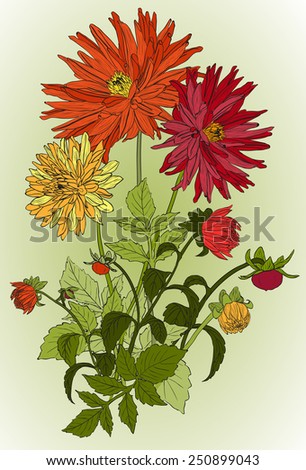 bouquets of Beautiful flowers of Garden asters