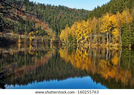 Trees with autumn leaves gold mirror above the surface of the pond, wooded mountains in the background