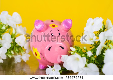 Piggy coin bank on yellow background with flowers. Cute white ceramic piggy coin bank. Money savings.Financial security,Personal funds.Spring.