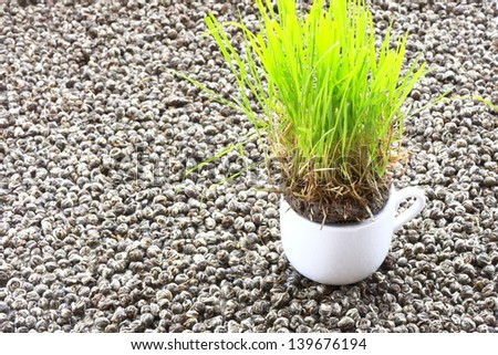 Tea and  grass