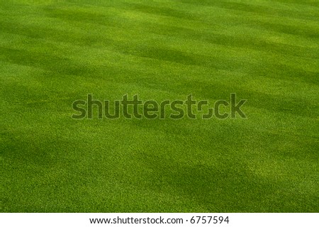 Lawn Mowing Striping Гўв‚¬вЂњ Making a Big League Lawn