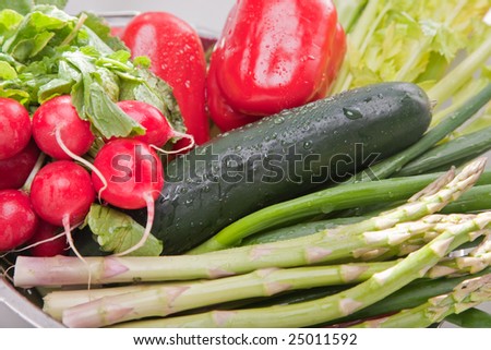 Arrangement of Various Vegetables with Water Drops.