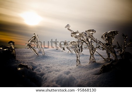 Winter landscape with frozen plants in sunset lights. (vignetted, horizontal)