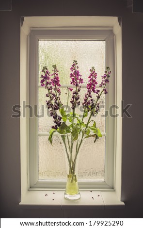 A bunch of old pink flowers in a glass vase near the window