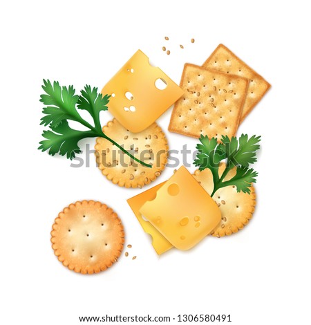 Vector illustration of realistic round and square crackers with fresh parsley leaves, slices of cheese and sesame seeds isolated on white background, top view