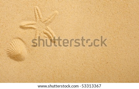 Imprints of seashells in beach sand