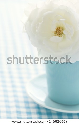 White rose in a light blue vase on shabby chic vintage background