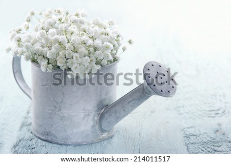 Old vintage metal watering can filled with white baby\'s breath gypsophila flowers on light blue shabby chic background