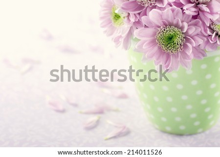 Pink chrysanthemum flowers in a green polkadot vase on vintage shabby chic background