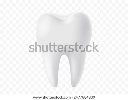 Tooth white, 3D illustration of a tooth on a transparent background. Vector illustration