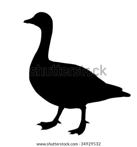 Vector Silhouette Goose On White Background - 34929532 : Shutterstock