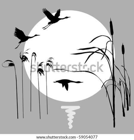 vector drawing flying birds on background sun