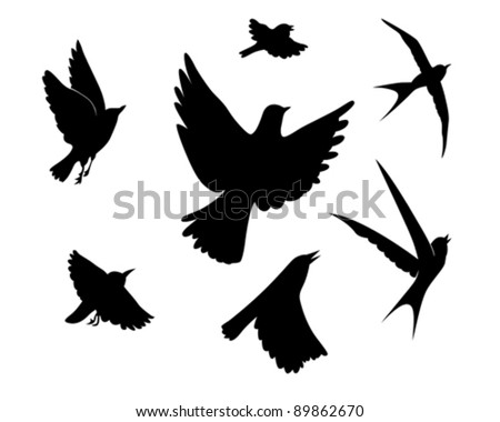 Flying Birds Silhouette On White Background, Vector Illustration ...