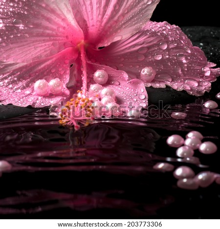 Beautiful spa setting of delicate pink hibiscus, zen stones with drops and pearl beads on ripple water,  closeup
