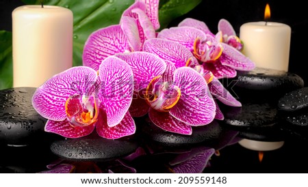 spa concept of zen stones with drops, blooming twig stripped violet orchid (phalaenopsis), candles, big green leaf on water
