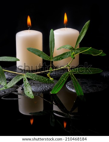 Beautiful spa setting of green tendril passionflower, candles and zen stones with drops on reflection water, closeup
