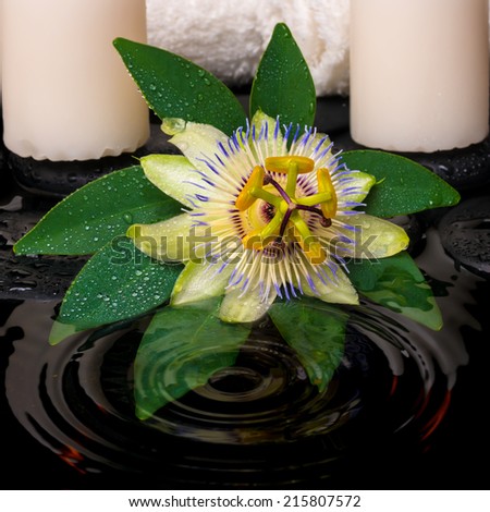 spa setting of passiflora flower, green leaf with drop, towels and candles
