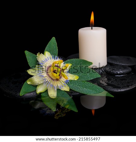 spa concept of passiflora flower, green leaf with drop and candle