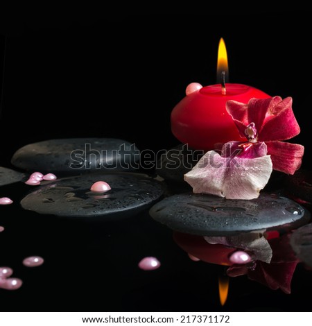 spa still life of red candle, zen stones with drops, orchid cambria flower and pearl beads in water, black background, closeup