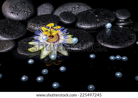 spa still life of passiflora flower on zen basalt stones with drops and placer pearl beads in reflection water