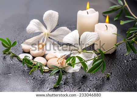 Beautiful spa still life of delicate white hibiscus, twig passionflower, stones with drops, candles on black background