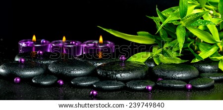 spa concept of zen basalt stones with drops, lilac candles, beads and bamboo, panorama