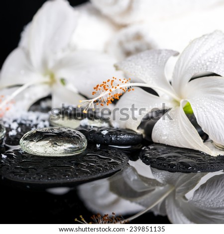cryogenic spa concept of delicate white hibiscus, zen stones with drops, snow, ice and towels on reflection water, closeup
