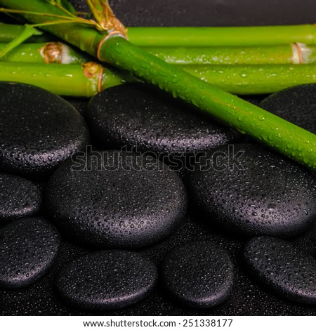 beautiful spa setting of zen basalt stones and natural bamboo stems with dew, closeup