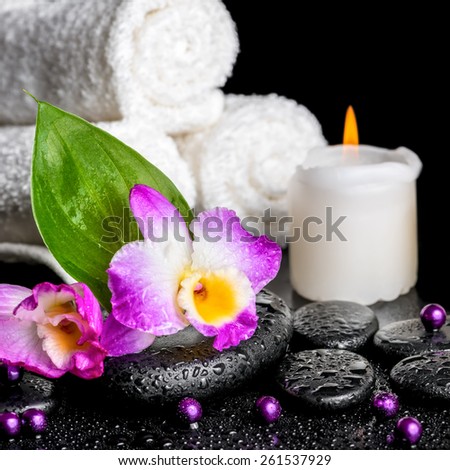 spa background of orchid dendrobium, green leaf Calla lily, candle, towels and beads on zen stones with drops, closeup