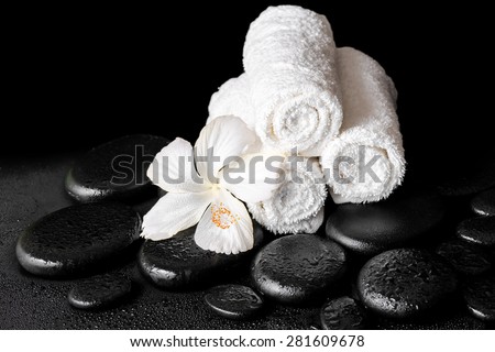 beautiful spa concept of white hibiscus flower and towels on zen basalt stone with dew, closeup