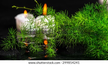 beautiful spa concept of green branch Asparagus with drops and candles on zen basalt stones in ripple reflection water, panorama