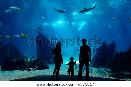 Underwater family. Silhouettes of young family of three enjoying views of underwater life. Family having free time in Oceanarium.