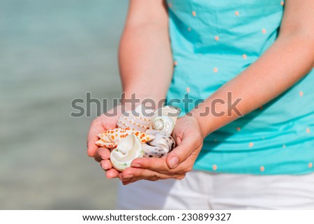 Close up of woman hand holding variety of beautiful sea shells