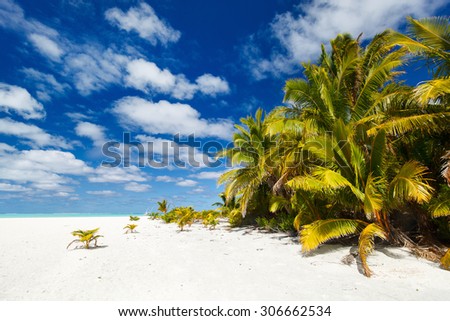 Stunning tropical beach with palm trees, white sand, turquoise ocean water and blue sky at Cook Islands, South Pacific