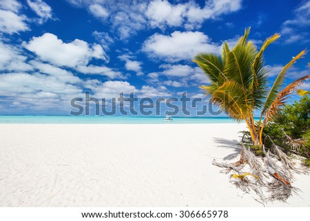 Stunning tropical beach with palm trees, white sand, turquoise ocean water and blue sky at Cook Islands, South Pacific
