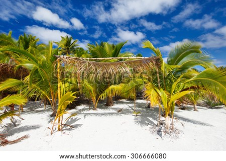 Stunning tropical beach with palm trees, white sand and blue sky at Cook Islands, South Pacific
